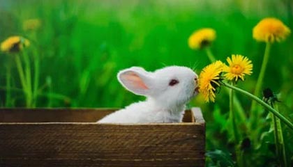 kering.com-赛季转会总结：豪门引援成效显著，豪门阵容